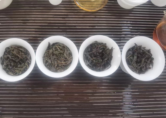 শান শিয়াচং কালো চা ৮০ গ্রাম ক্যানড উপহার বাক্স চা উই শান শিয়াচং লিয়ানইউন চা কারখানা পাইকারি