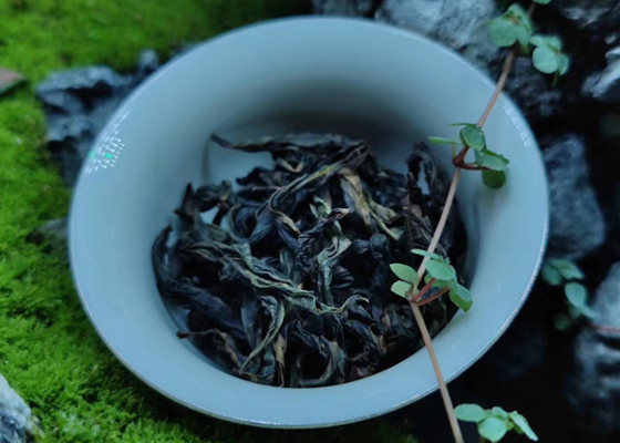 উই রক চা
