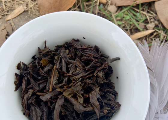 ১০০ ডিগ্রি সেলসিয়াস গরম করার তাপমাত্রা পুরানো পু এর্হ চা এর ফলপ্রসূতা প্রকাশ করে