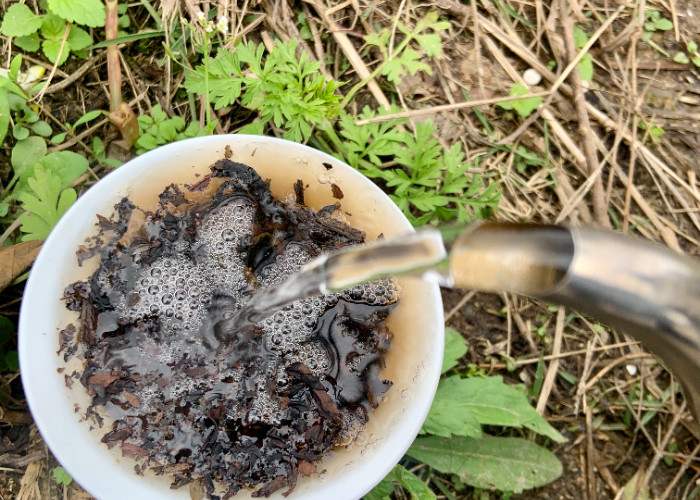 ৩-৫ মিনিটের গরম করার সময় দিয়ে হাড়ের চা কাপগুলিতে ফুলের অনুপ্রেরণা পুনরুজ্জীবিত